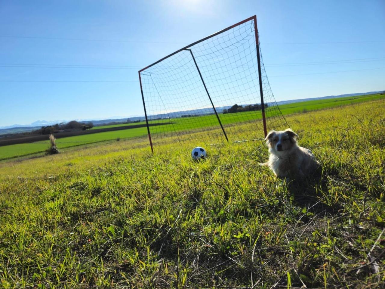 Villepinte  Domaine Saladryヴィラ エクステリア 写真