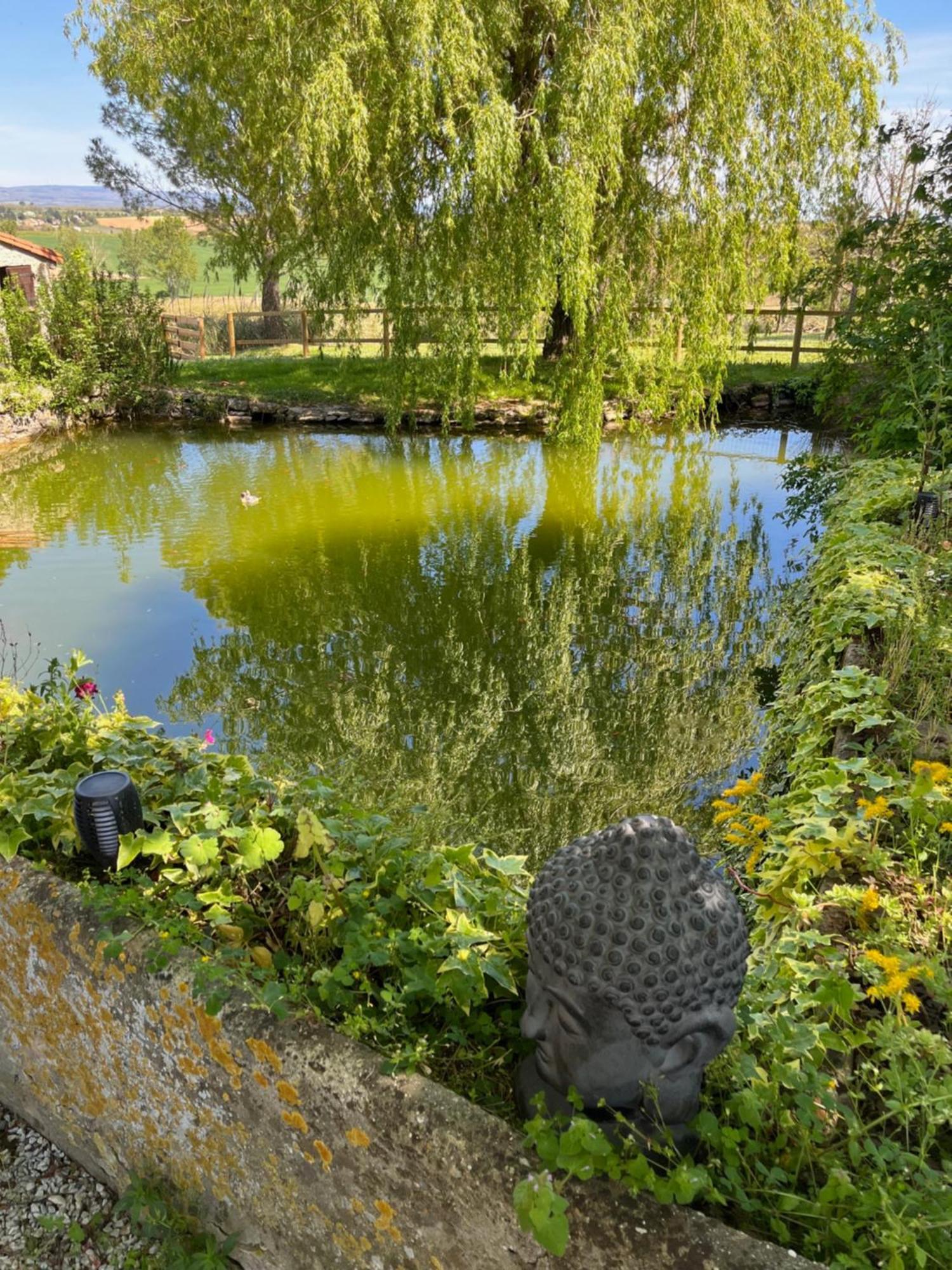 Villepinte  Domaine Saladryヴィラ エクステリア 写真