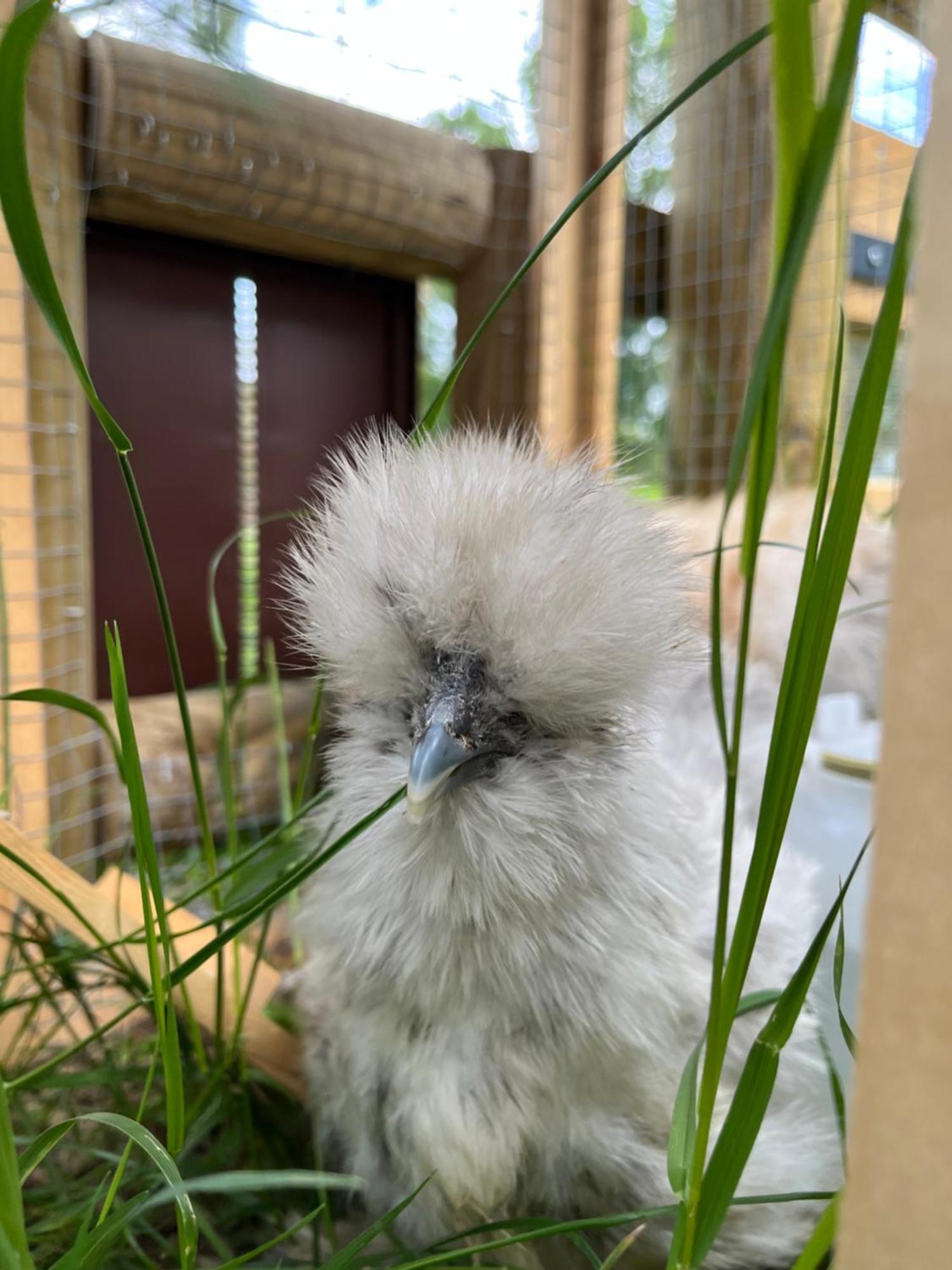 Villepinte  Domaine Saladryヴィラ エクステリア 写真